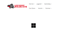 Tablet Screenshot of kirchdorf-wildcats.de